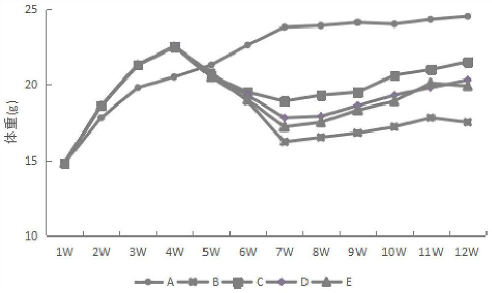 A strain of Lactobacillus paracasei and its application