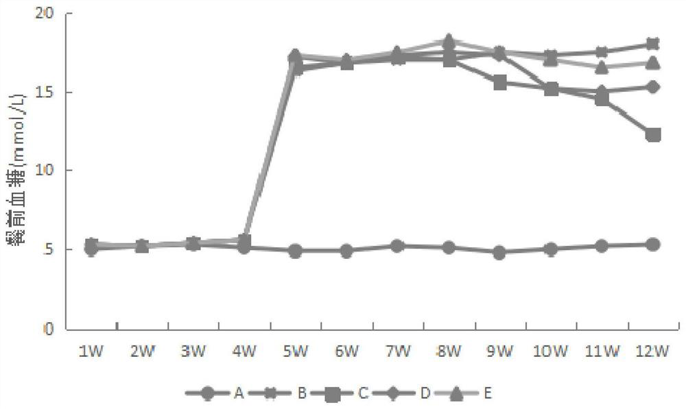 A strain of Lactobacillus paracasei and its application