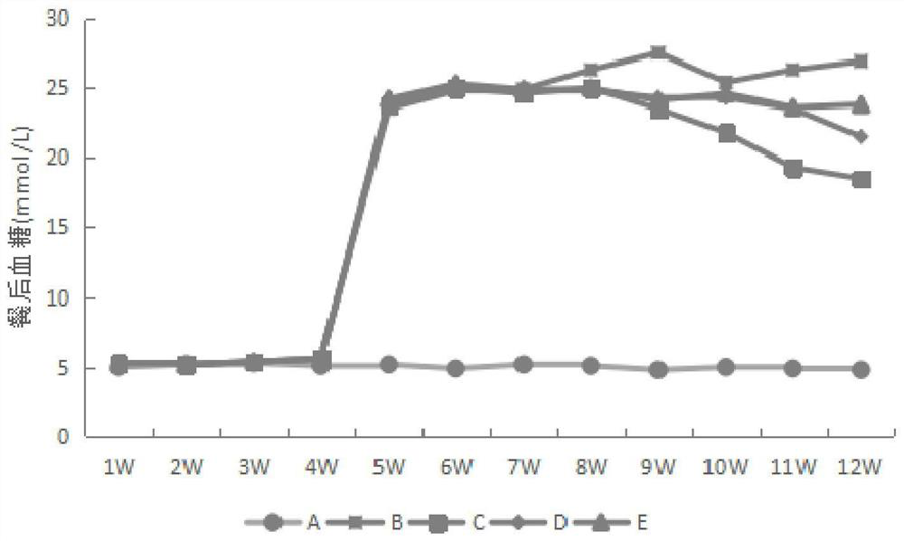 A strain of Lactobacillus paracasei and its application