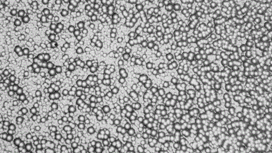 Ultracrystallite anti-glare frosting solution for colored glass and frosting method for colored glass