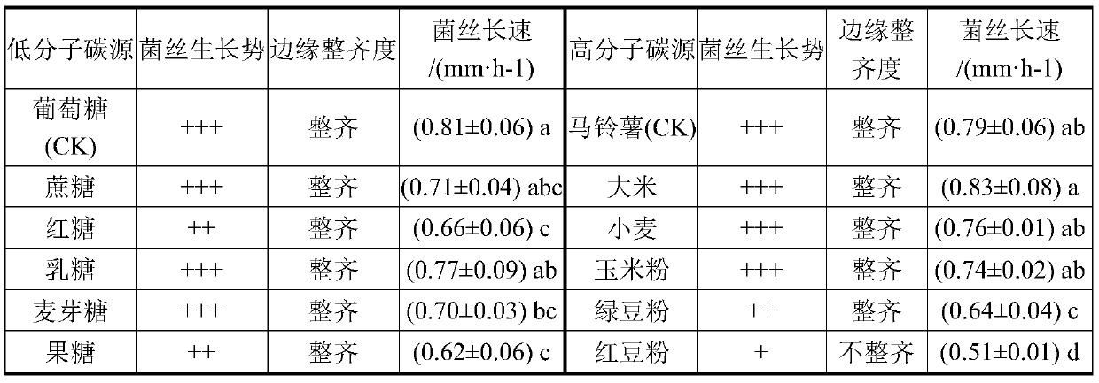 Morchella esculenta mother strain culture medium and morchella esculenta mother strain preparation method