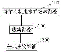 Method and system for producing biodiesel by cultivating microalgae by using urban sewage