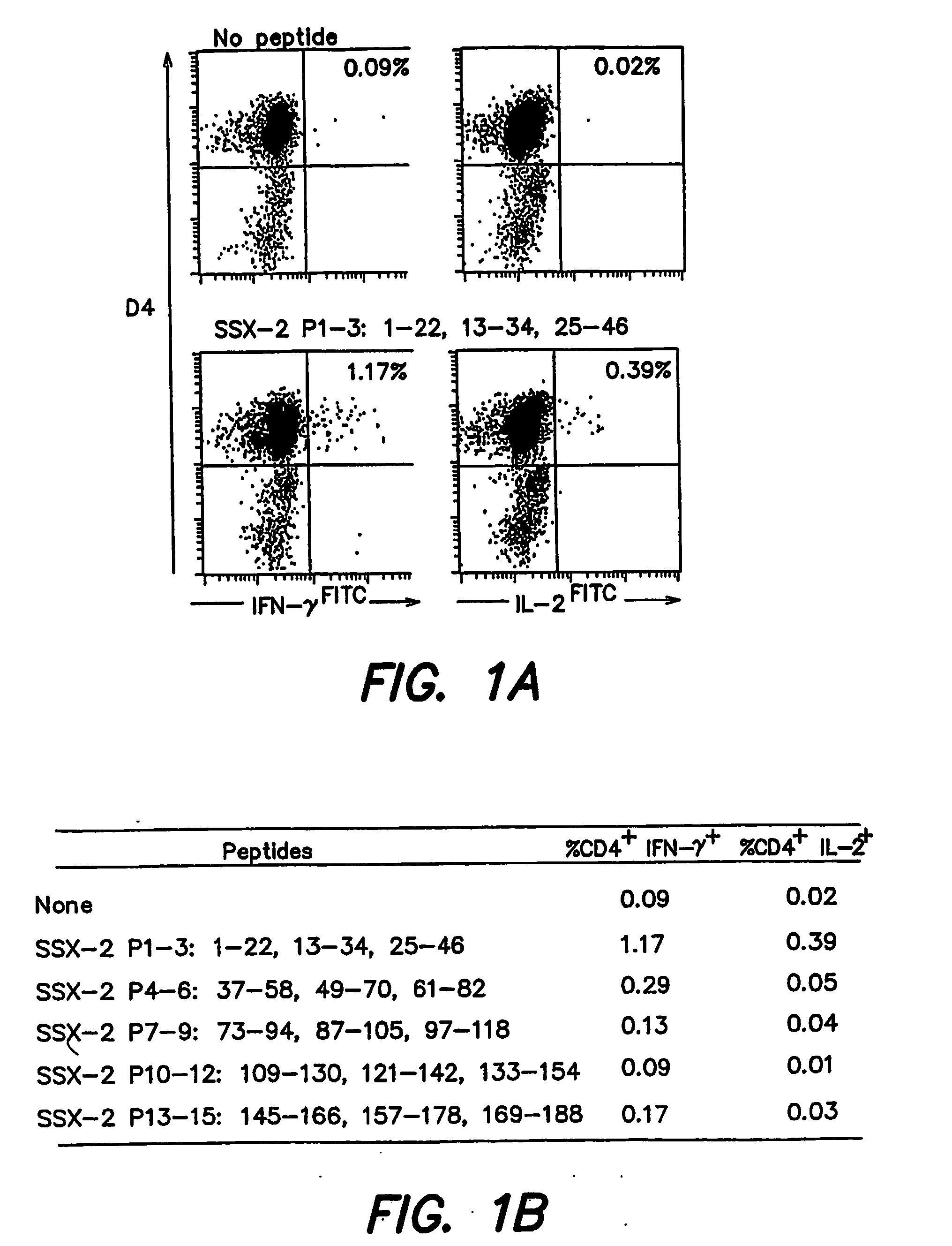 Ssx-2 peptides presented by hla class II molecules