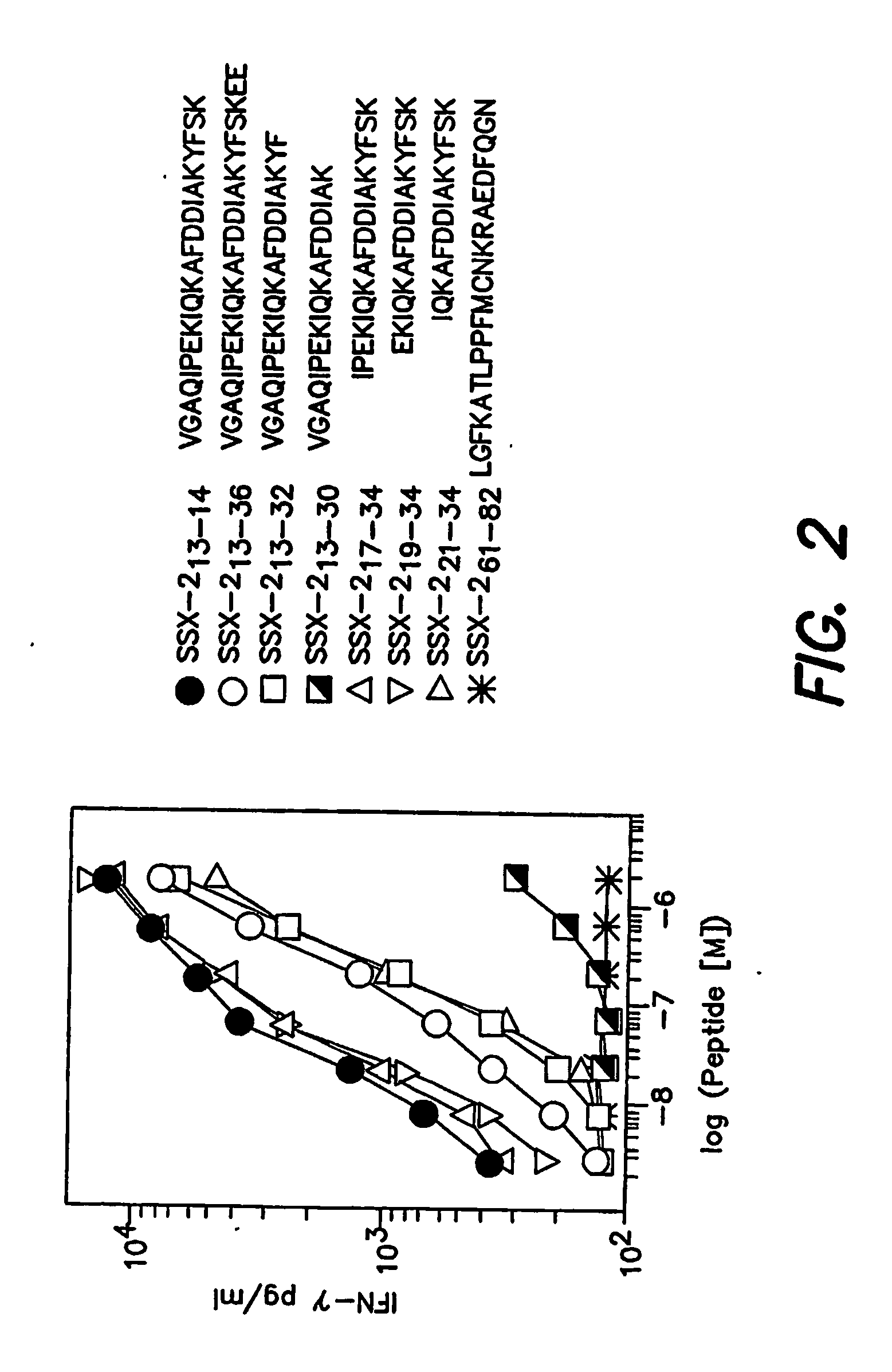 Ssx-2 peptides presented by hla class II molecules