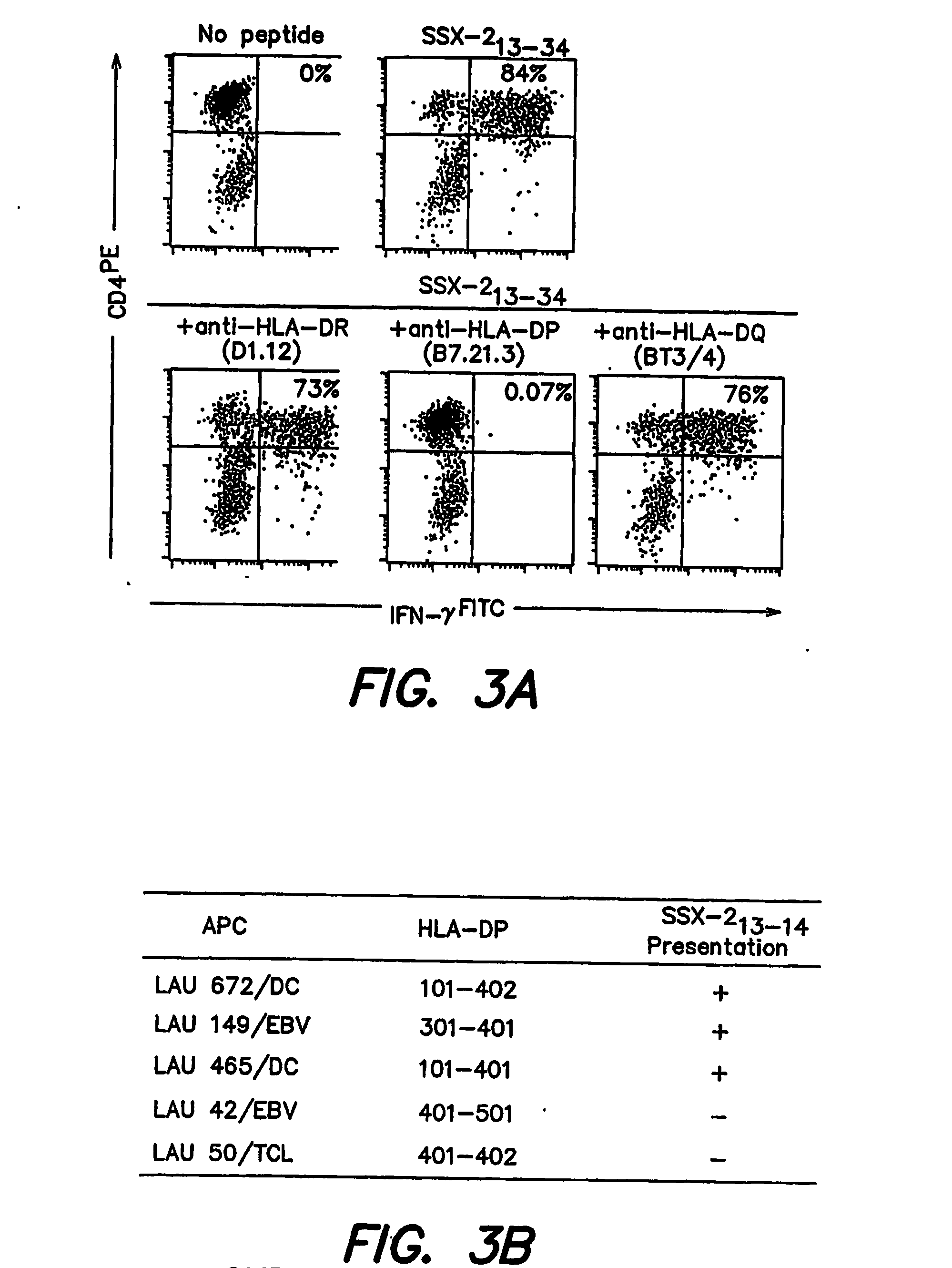 Ssx-2 peptides presented by hla class II molecules