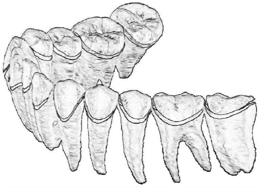 Crown root three-dimensional model merging method