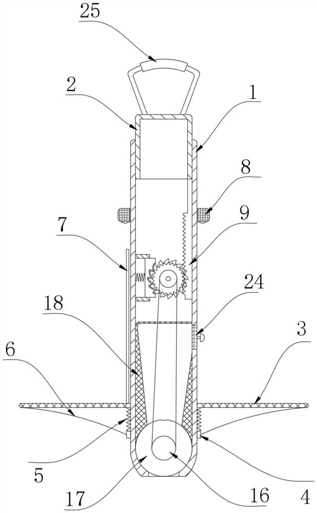 Rapid wetland planting method for ecological restoration