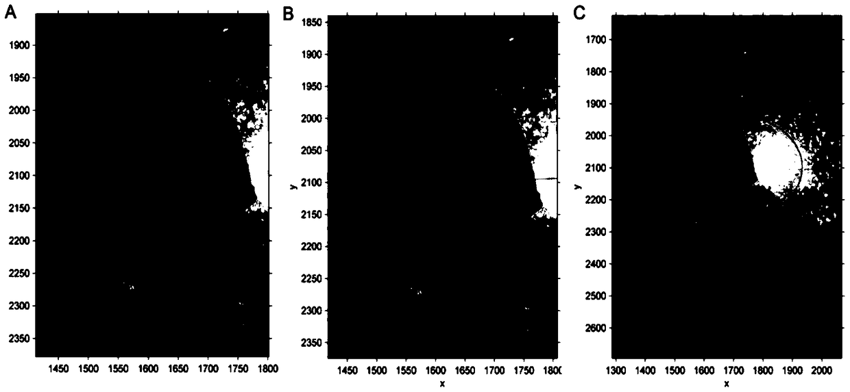 A Method for Ex vivo Measurement and Calculation of Eye Shape, Eye Axis and Curvature of Experimental Animals