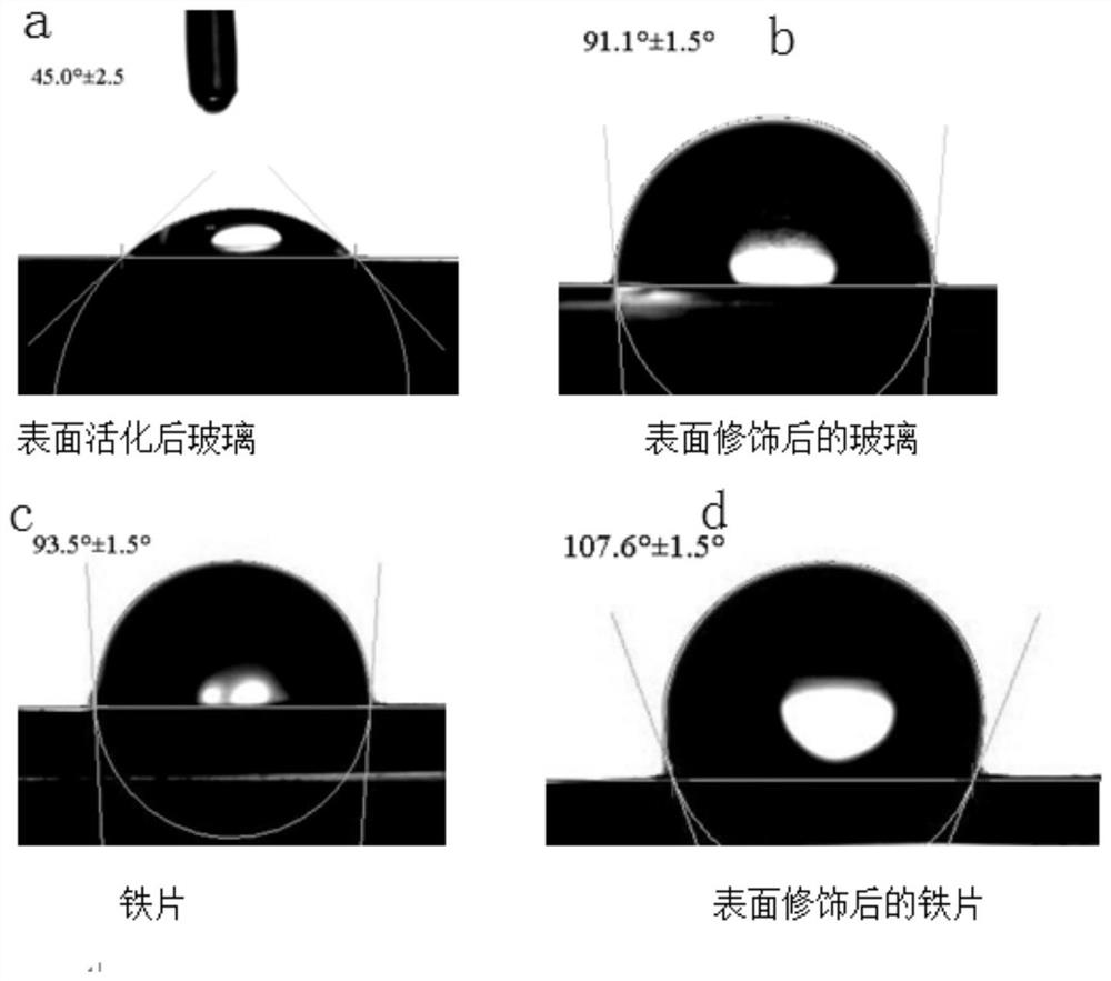 Application of double-bond functionalized alpha-amino triethoxy silane in crosslinking or modification