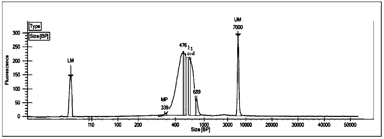 Hi-C high-throughput sequencing library building method suitable for watermifoil