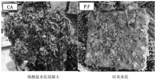 Ecological restoration method for servicing breakwater underwater area