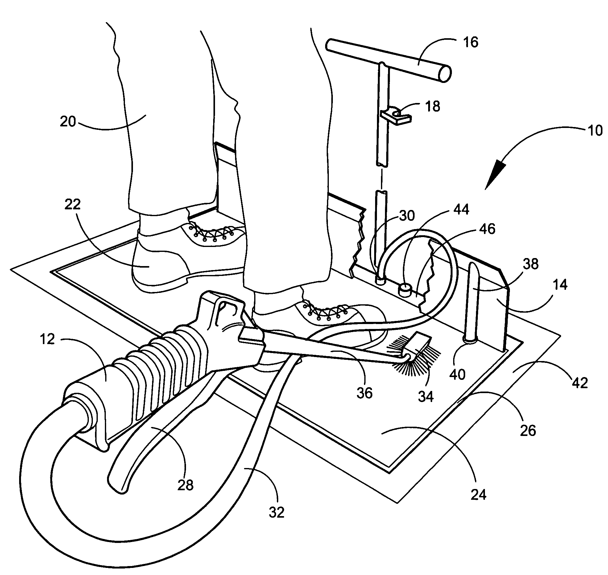 Shoe and foot cleaning and disinfecting system