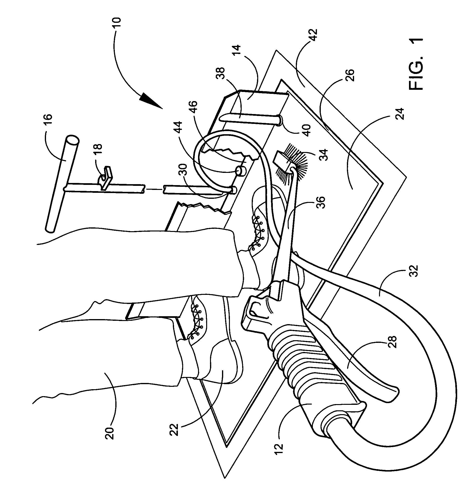 Shoe and foot cleaning and disinfecting system