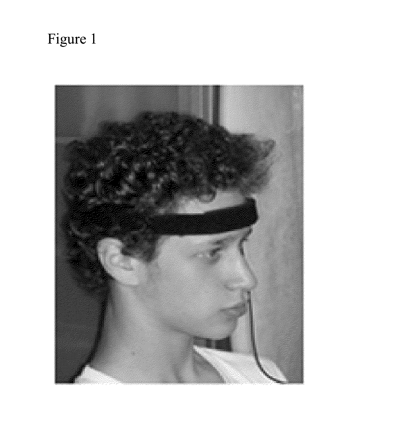 Systems and methods for brain activity interpretation