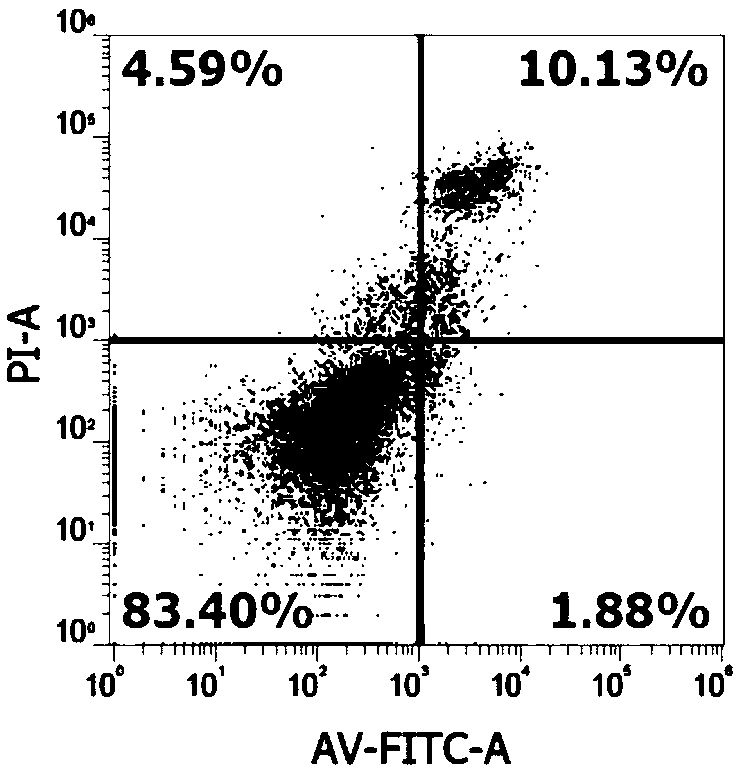 Flavone alkoxy phosphoramidate derivative for targeted Hsp60, preparation and application