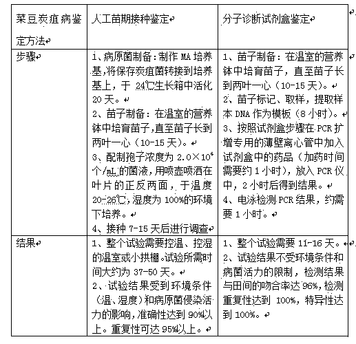 Anti-anthracnose molecular diagnostic kit for pod bean and application thereof