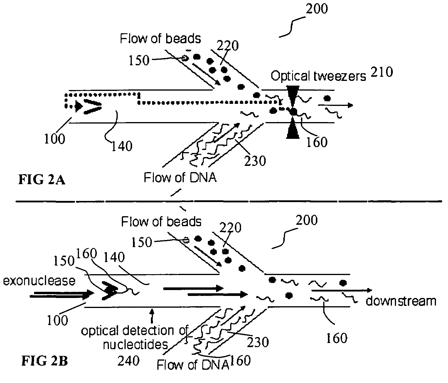 Microfluidic apparatus, Raman spectroscopy systems, and methods for performing molecular reactions