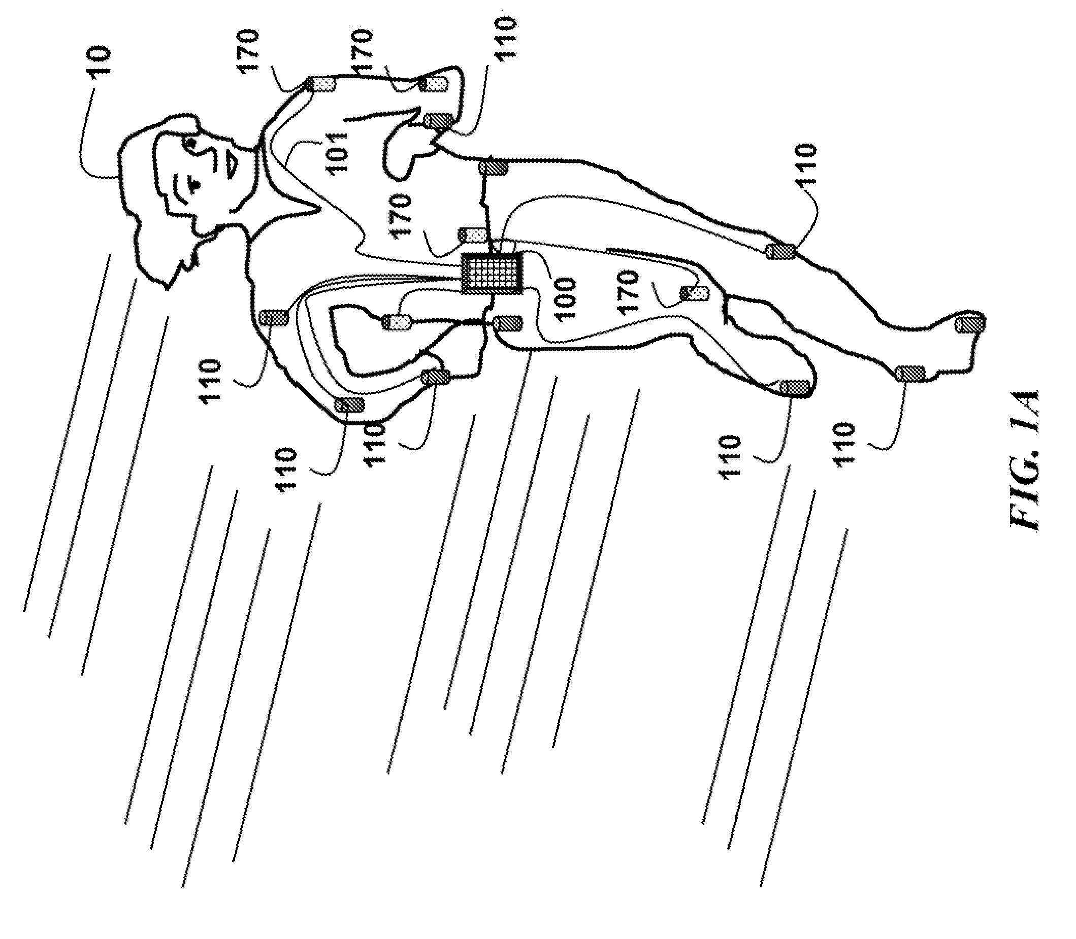 System and Method for Motion Capture in Natural Environments