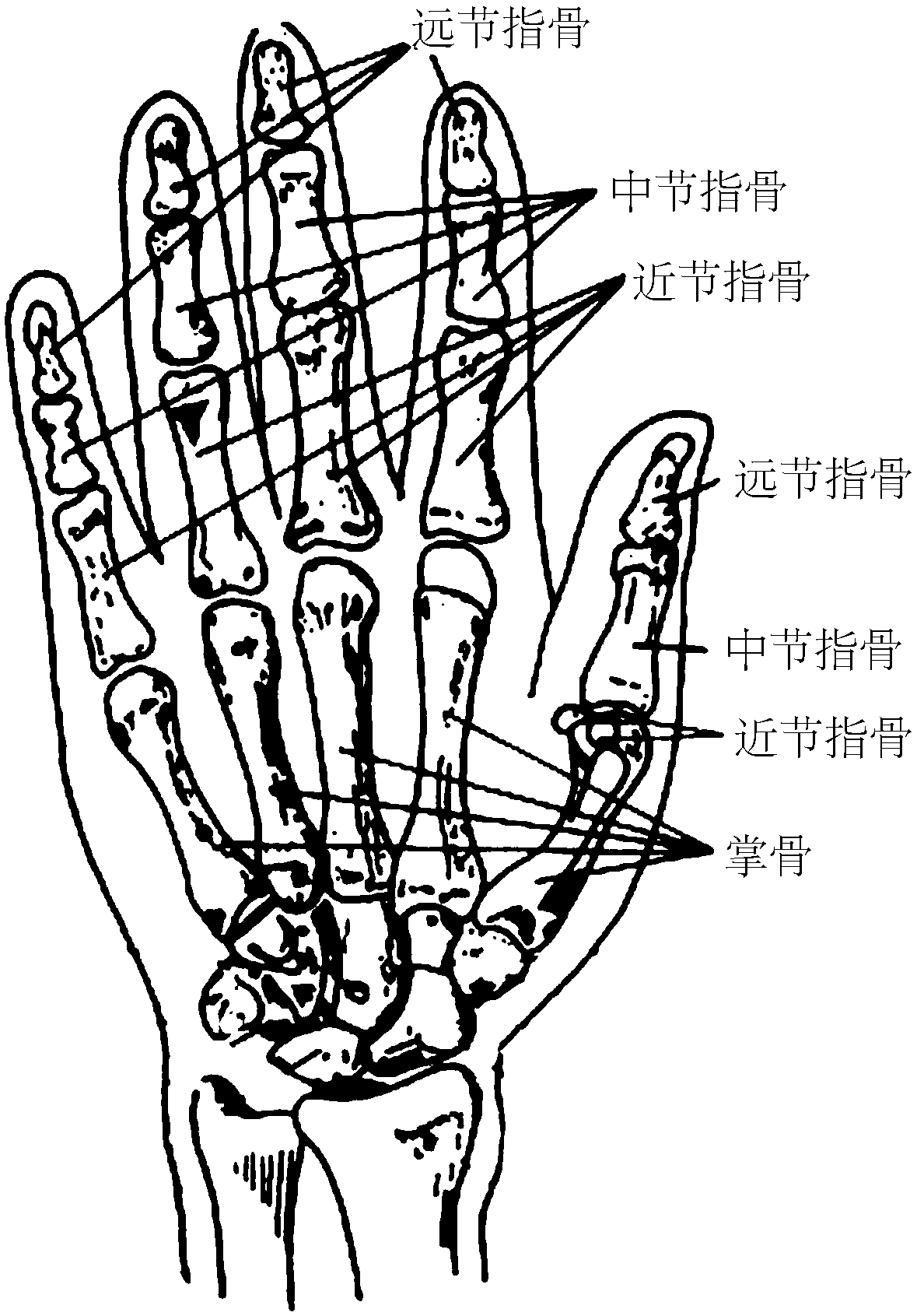 Soft driver for assisting extension and abduction of thumb of human hand