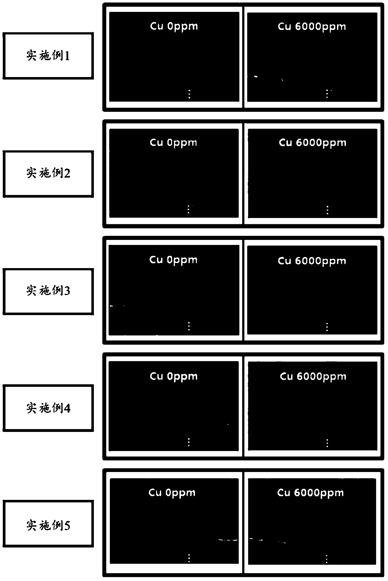 Etchant composition and method for producing metal wiring using same