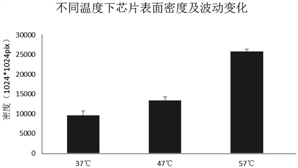 Solid phase substrates, their processing methods and uses