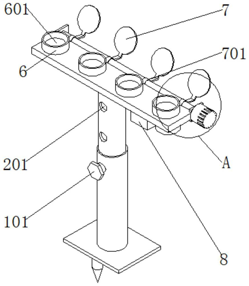 Tropical rainforest mold collecting device