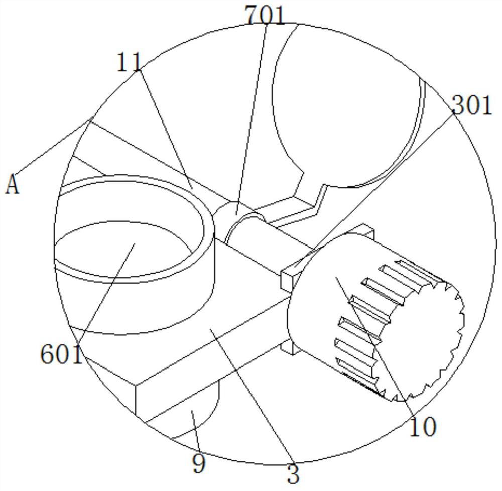 Tropical rainforest mold collecting device