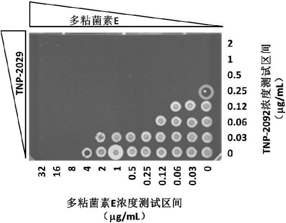 Antibacterial drug composition for treating Gram-negative bacterial infections