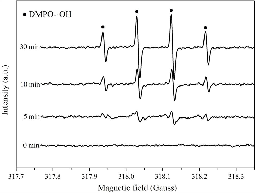 Method for preparing iron phosphide/carbon composite material from yeast biomass