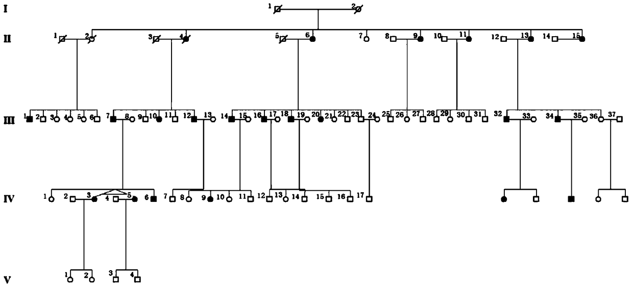 A pathogenic mutation of hereditary central halo retinopathy and its detection reagent