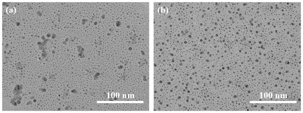 A kind of conductive binder material and preparation method thereof, negative pole sheet and lithium ion battery