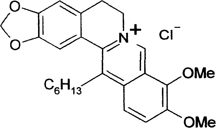 Use of chloride 13-hexyl berberine in preparation of medicine for treating peptic ulcer and bacteriological gastroenteritis