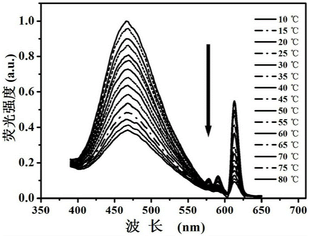 A fluorescent functional polymer nanosphere with dual response to temperature and pH, preparation method and application