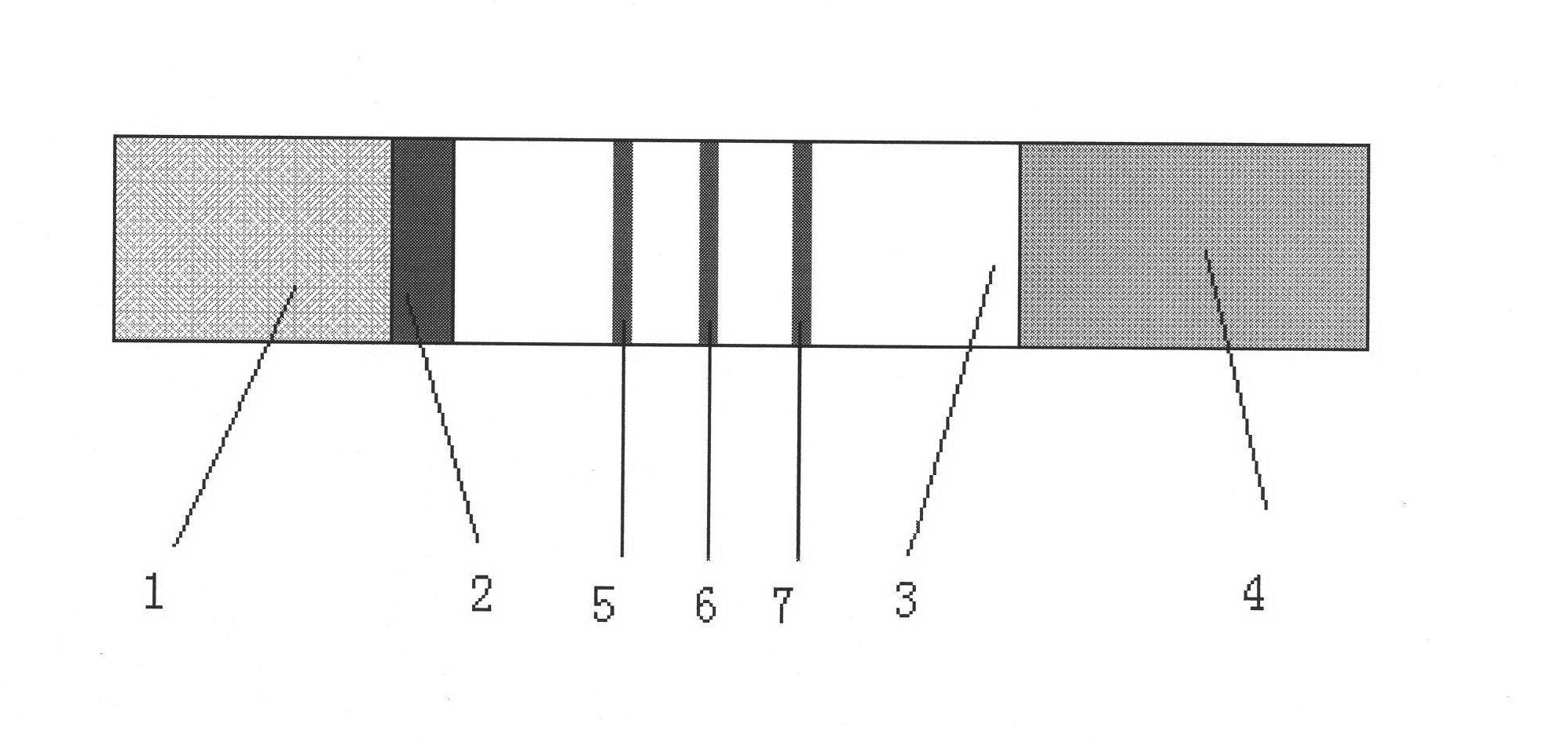 Immunity-chromatography kit for rapid diagnosis of malaria and its pathogen species and preparation method thereof