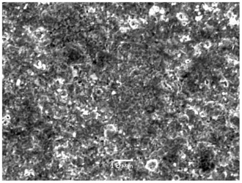 A kind of copper-containing zincizing agent and method for zincizing metal material