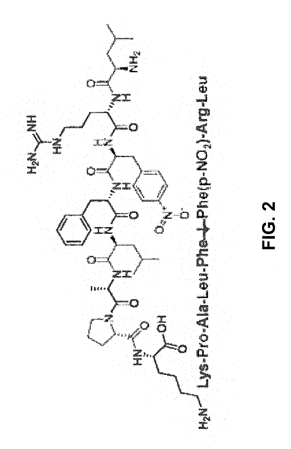 Aspartic protease-triggered antifungal hydrogels