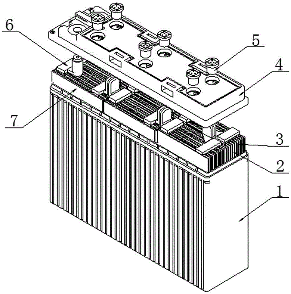 Elongated lead storage battery with equivalently allocated positive and negative plates