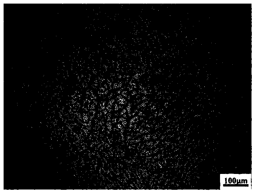 Martensite aging stainless steel dendritic crystal corrodent and corrosion method