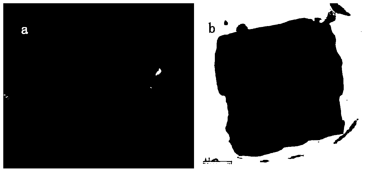 Hollow Cu-SSZ-13 molecular sieve catalyst and application thereof