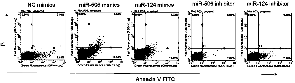 Application of protein C in treating hepatic portal hypertension