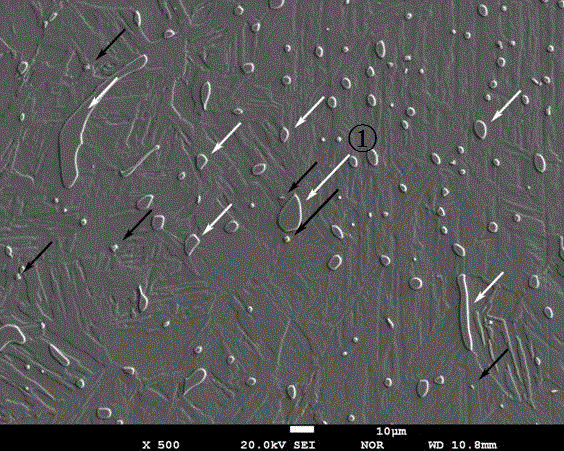 A Casting and Rolling Method for Eliminating Delta Ferrite in Maraging Stainless Steel Strip