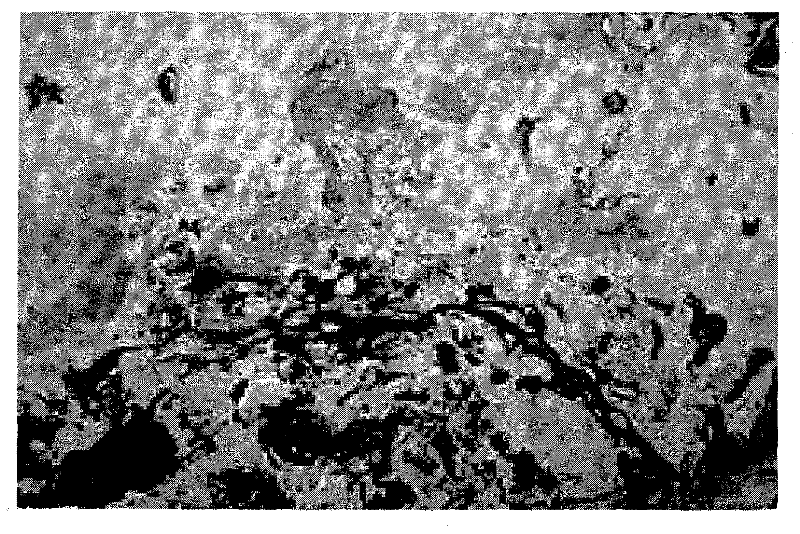 Method for preparing paint with curious and magic patterns