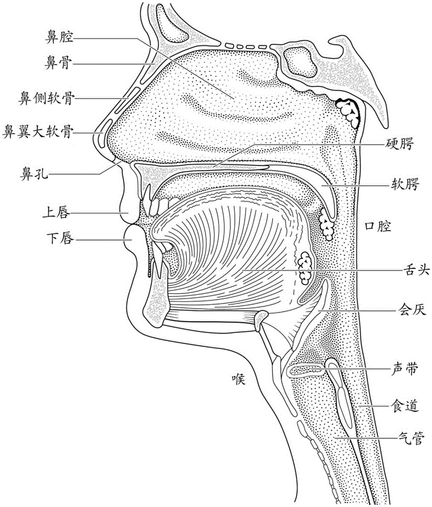 A patient interface system for treatment of respiratory disorders