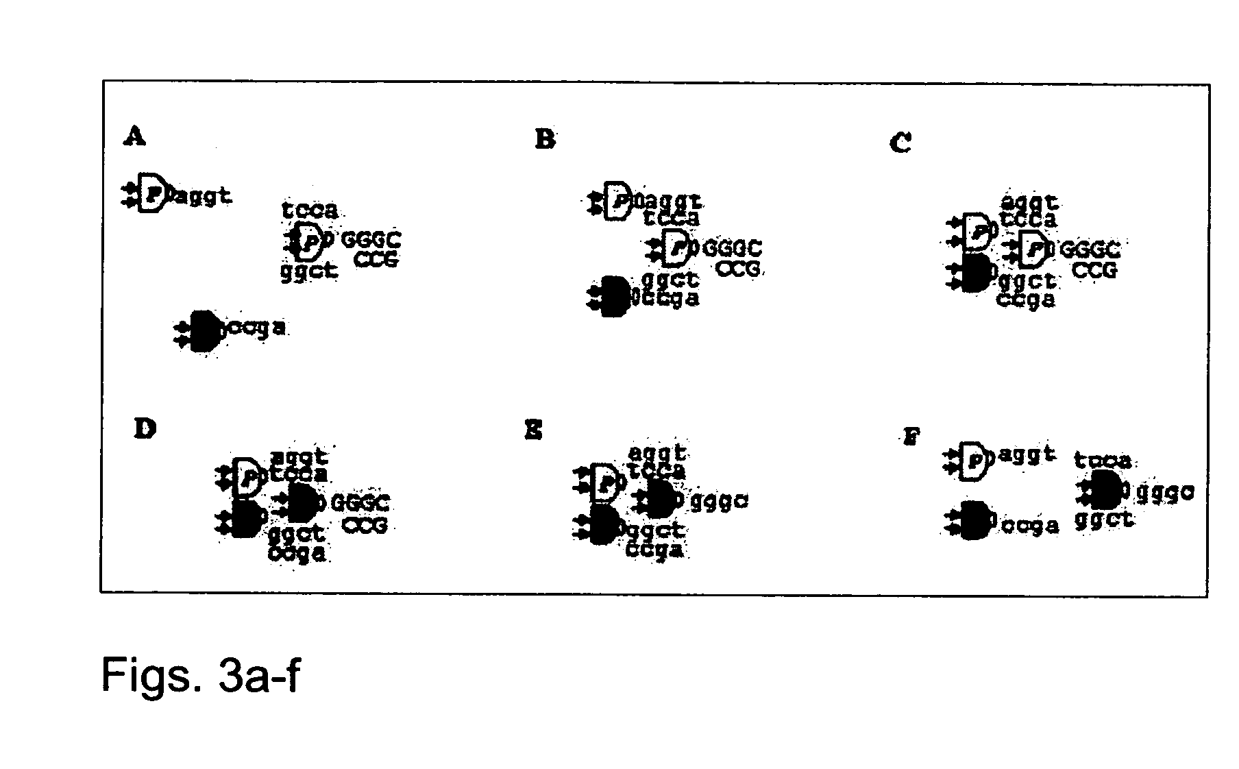 Computing with biomolecules