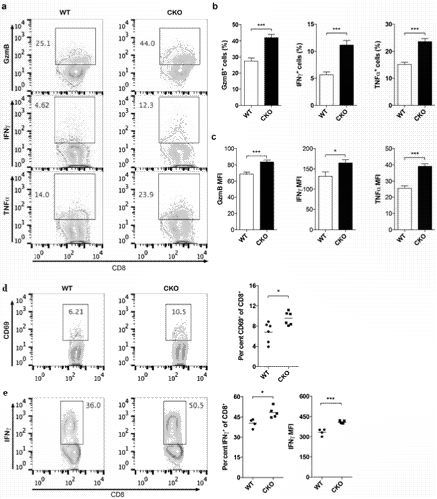 Tumor immunotherapy drug target and application thereof