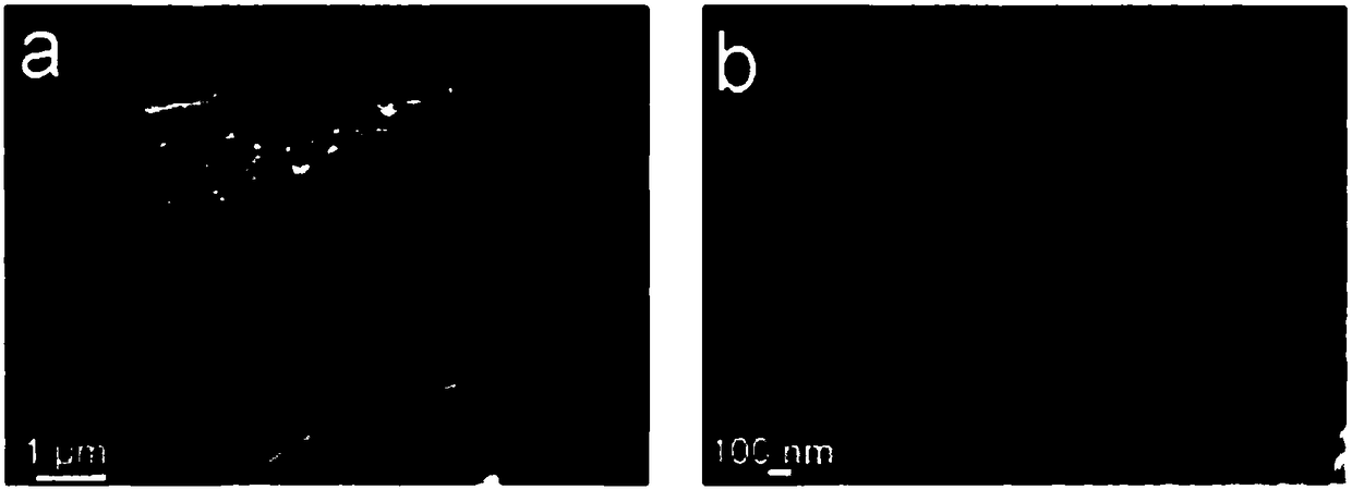 Large-scale preparation method and application of metal and metal derivative composited 2D carbon plate aerogel material