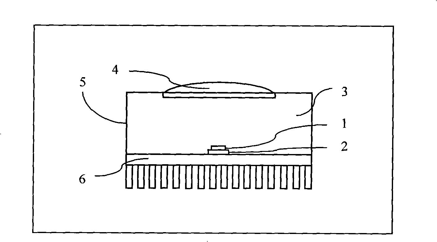 Liquid immersion type packaged large power LED light source