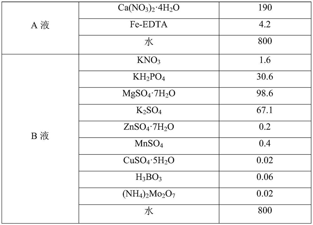 Hydroponic nutrient solution for adult tomatoes and preparation method of hydroponic nutrient solution