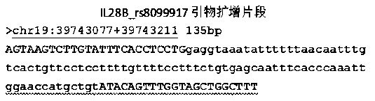 Primer and method for simultaneously detecting gene polymorphisms of IL28B and ITPA (inosineadenosine triphatase)