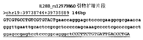 Primer and method for simultaneously detecting gene polymorphisms of IL28B and ITPA (inosineadenosine triphatase)